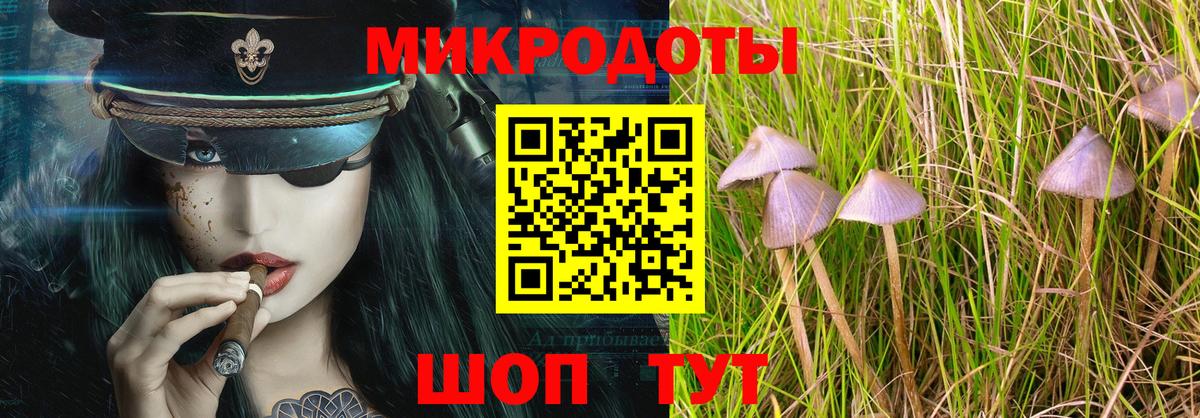 Галлюциногенные грибы Psilocybine cubensis  Галлюциногенные грибы мухоморы  Вход с VPN  Арзамас 